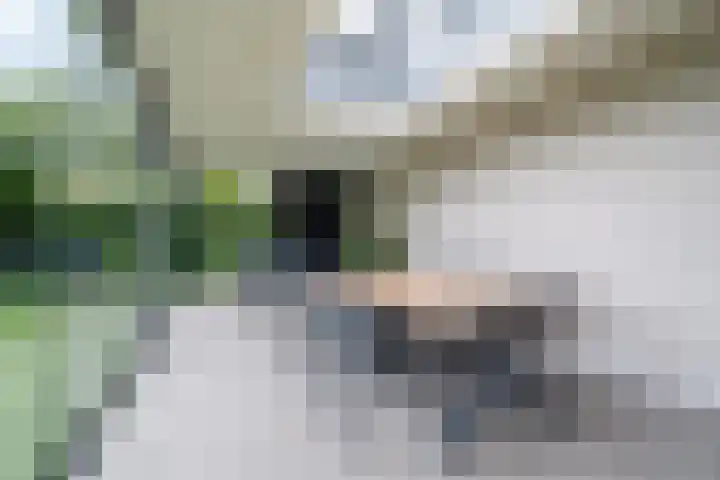 Freya 11 Blauwestad thumbnail 34
