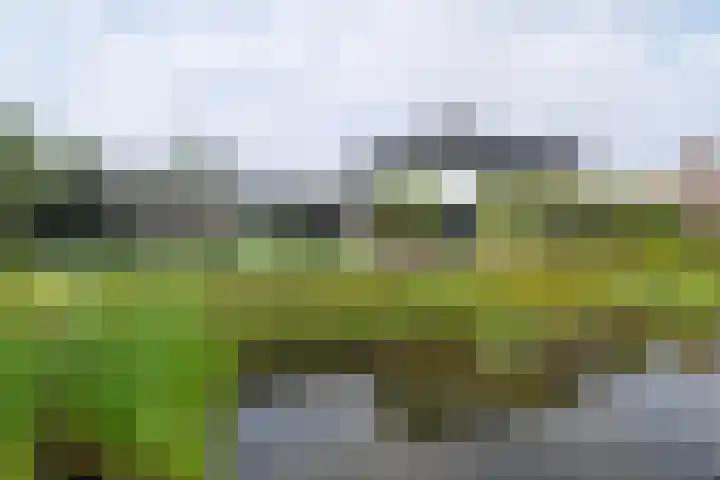 Freya 11 Blauwestad thumbnail 5