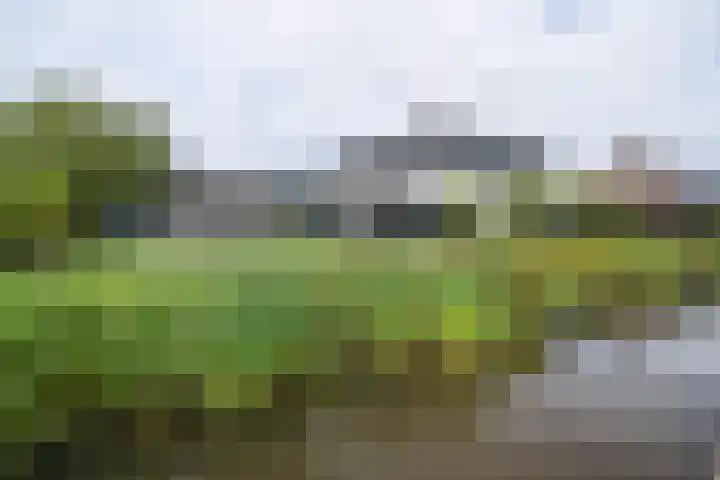 Freya 11 Blauwestad thumbnail 58