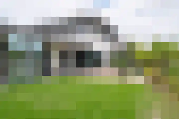 Freya 11 Blauwestad thumbnail 62