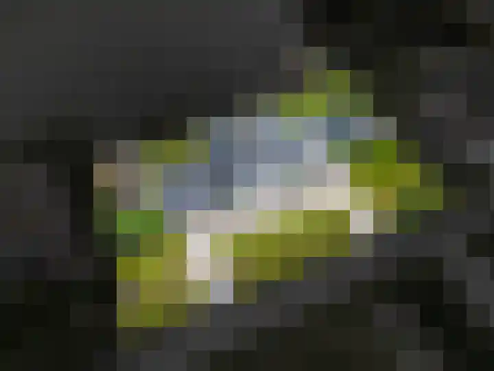 Freya 11 Blauwestad thumbnail 70