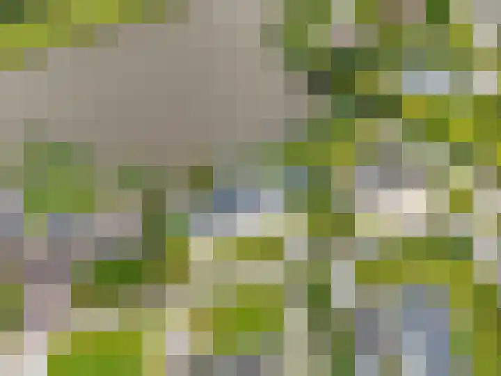 Freya 11 Blauwestad thumbnail 71