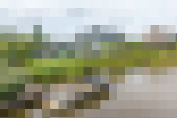 Freya 11 Blauwestad thumbnail 74