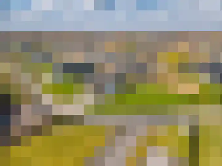 Freya 24 Blauwestad thumbnail 77