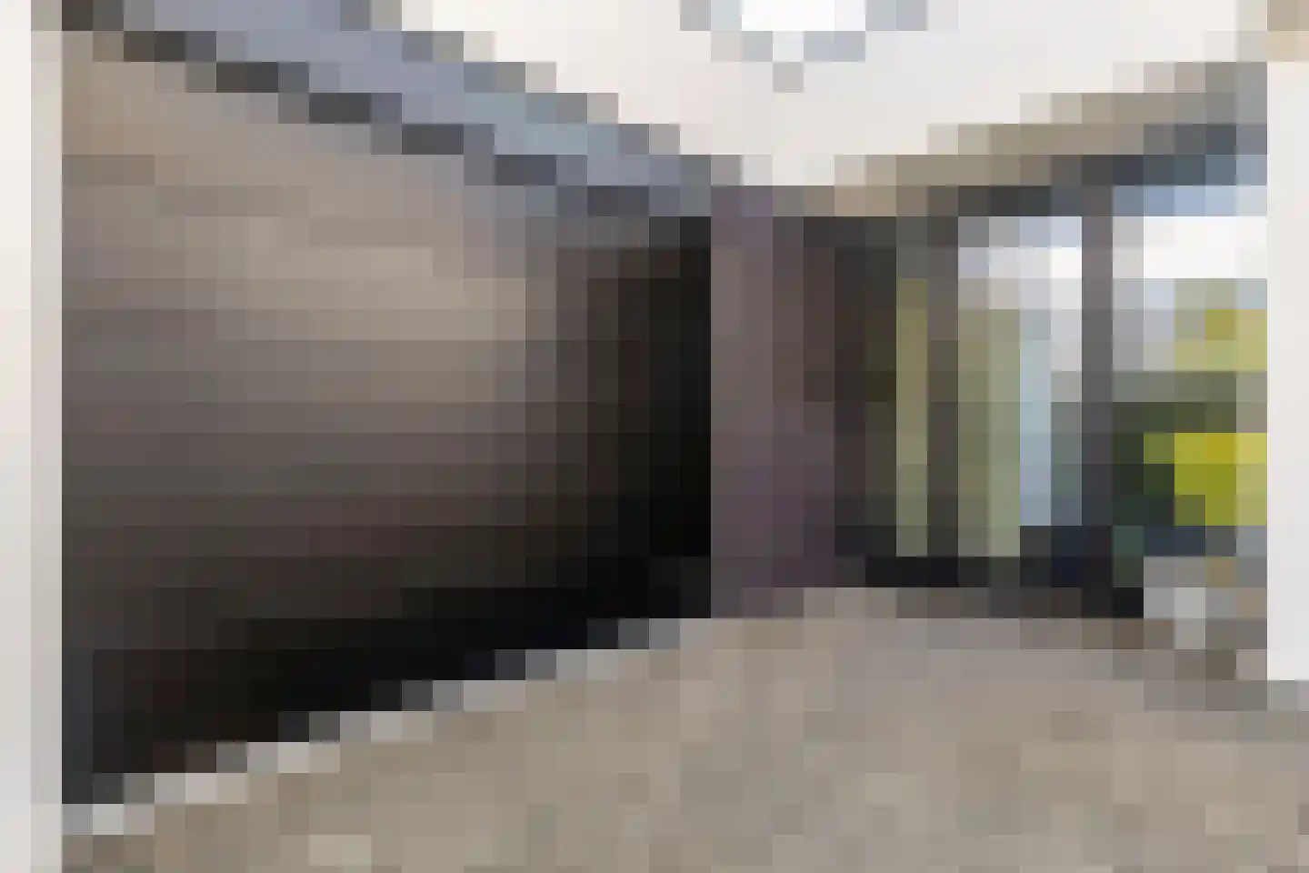 Frida Heilstraat 16 Arnhem thumbnail 35