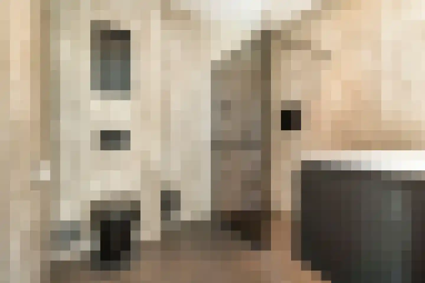 Frida Heilstraat 16 Arnhem thumbnail 43