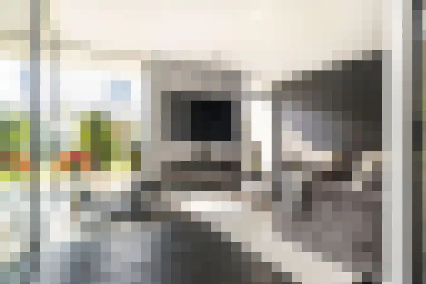 Frida Heilstraat 16 Arnhem thumbnail 6