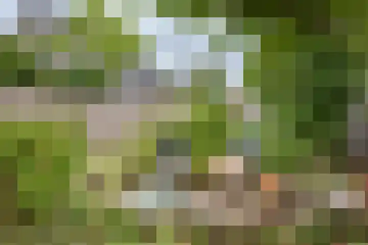 Friesebuurt 2 Oudesluis thumbnail 4
