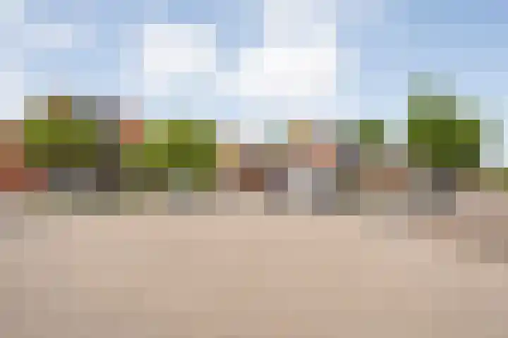 Friesendorpstraat 13 Ommen thumbnail 4