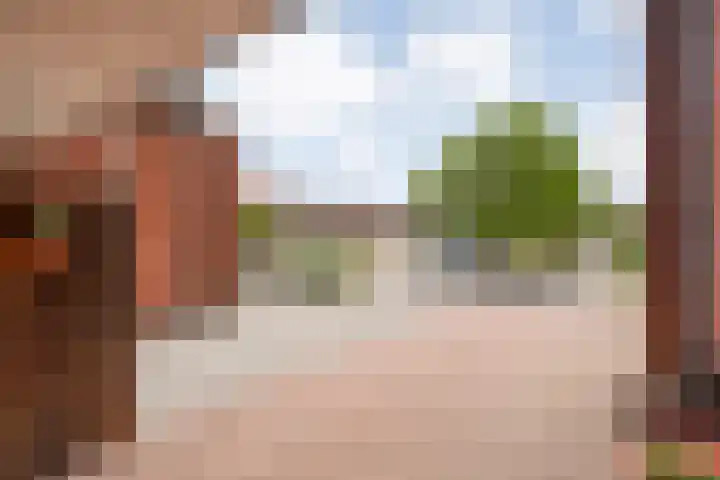 Friesendorpstraat 13 Ommen thumbnail 6