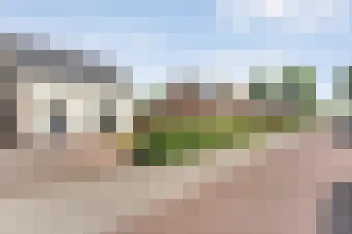 Friesendorpstraat 36 Ommen thumbnail 34