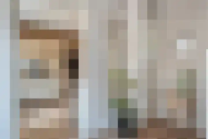 Friesendorpstraat 36 Ommen thumbnail 4