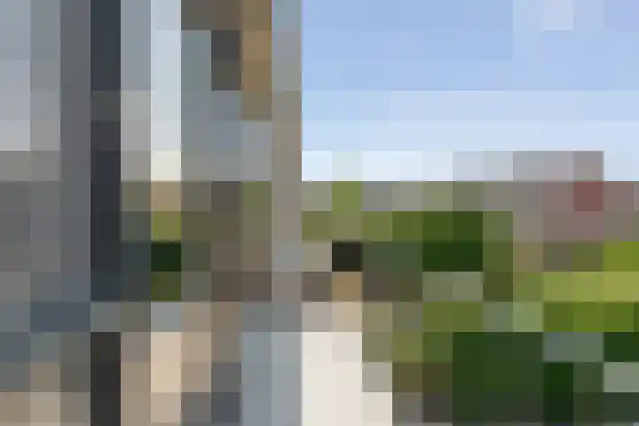 Friesendorpstraat 50 Ommen thumbnail 33