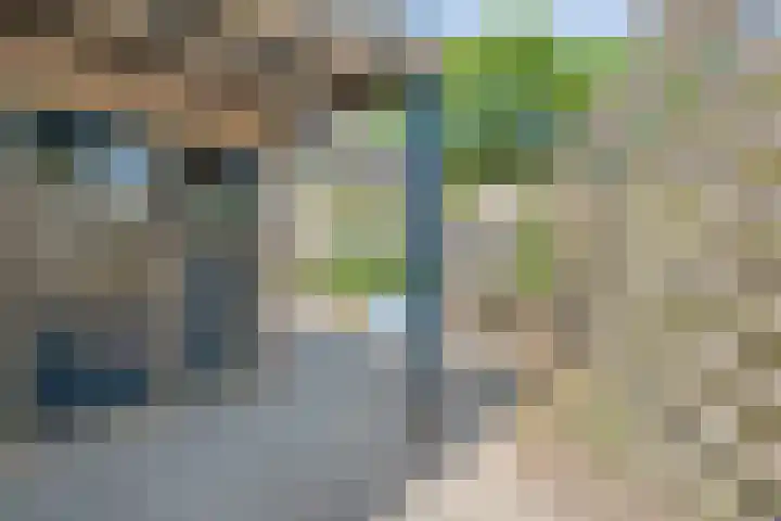 Friesendorpstraat 50 Ommen thumbnail 45