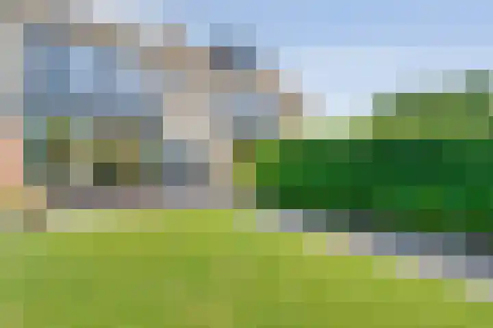 Friesendorpstraat 50 Ommen thumbnail 7
