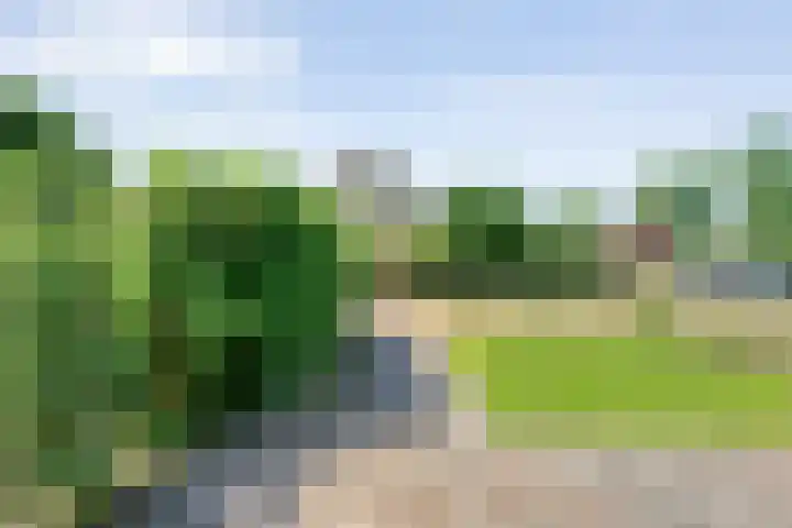 Friesendorpstraat 50 Ommen thumbnail 9