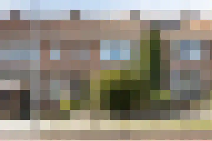 Frieseweg 103 in Alkmaar