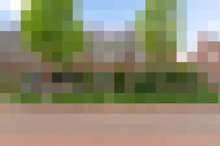Frieseweg 57 Alkmaar thumbnail 53