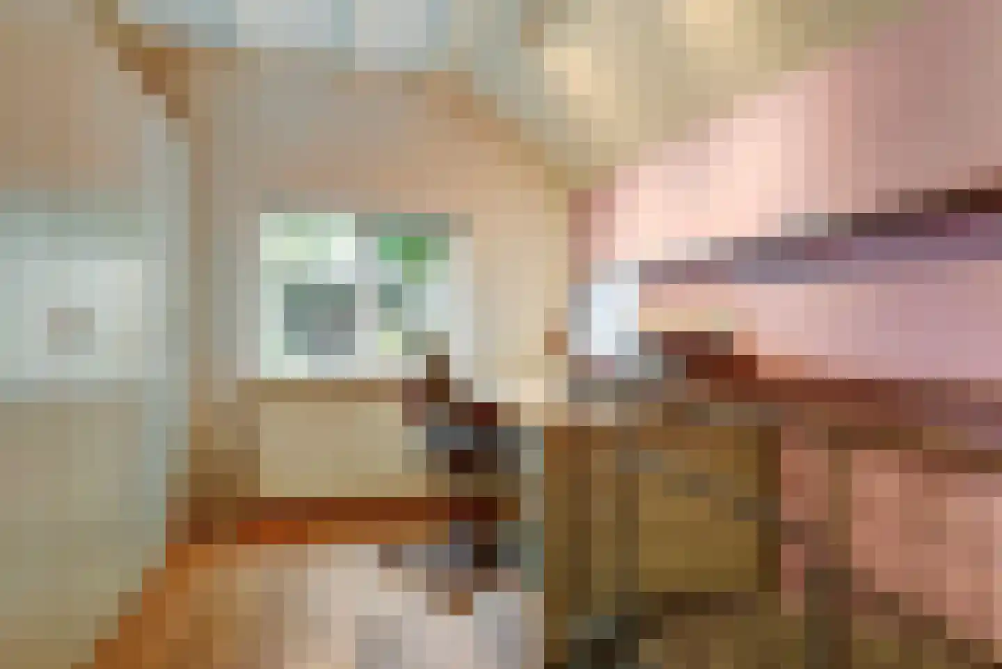 Frieslandweg 2 Didam thumbnail 15