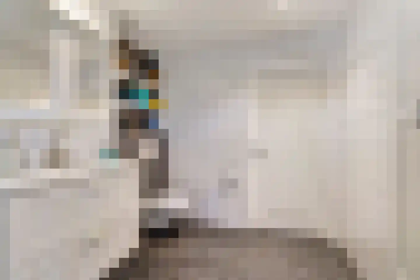 Frieslandweg 2 Didam thumbnail 18