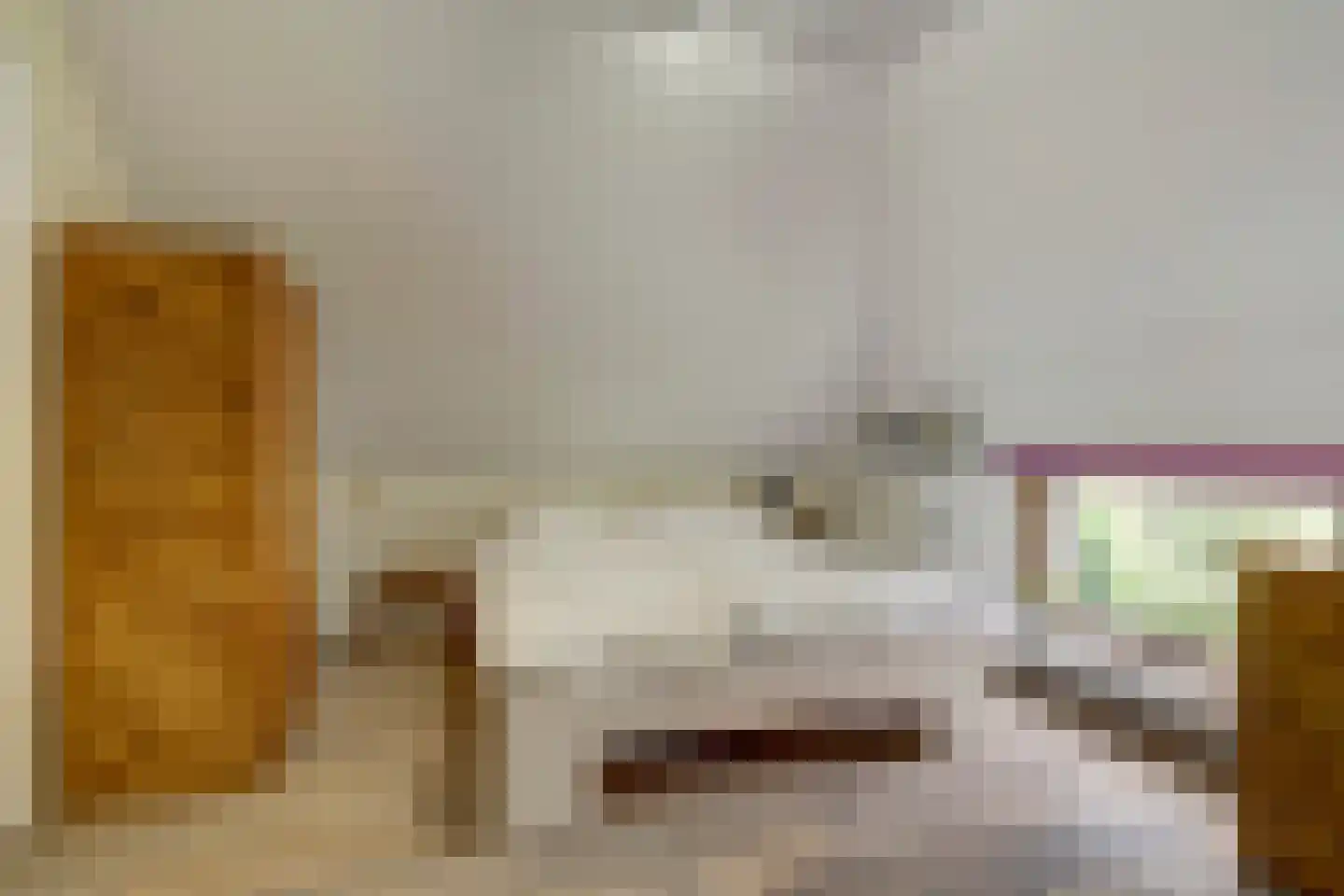 Frieslandweg 2 Didam thumbnail 19