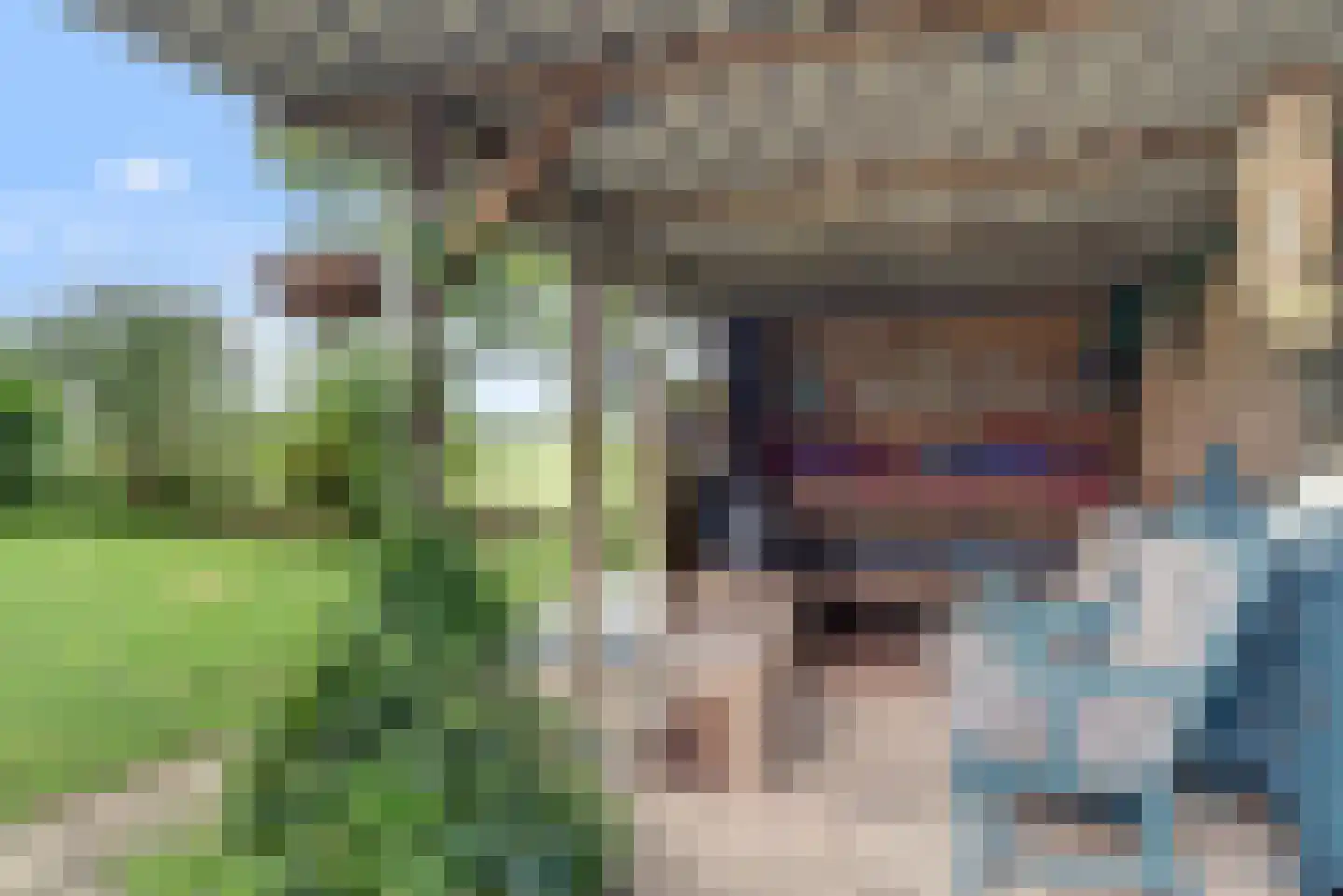 Frieslandweg 2 Didam thumbnail 27