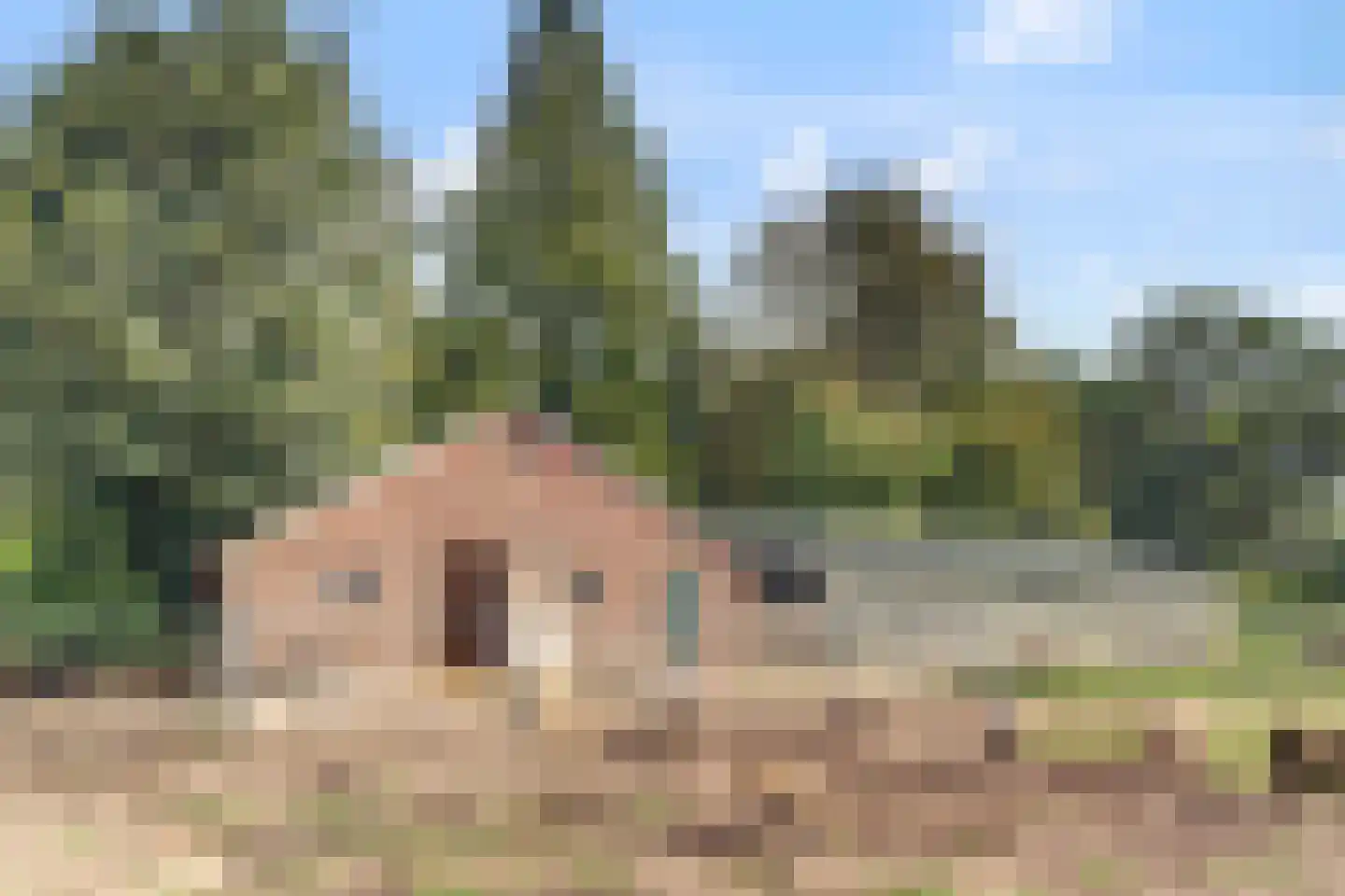 Frieslandweg 2 Didam thumbnail 30