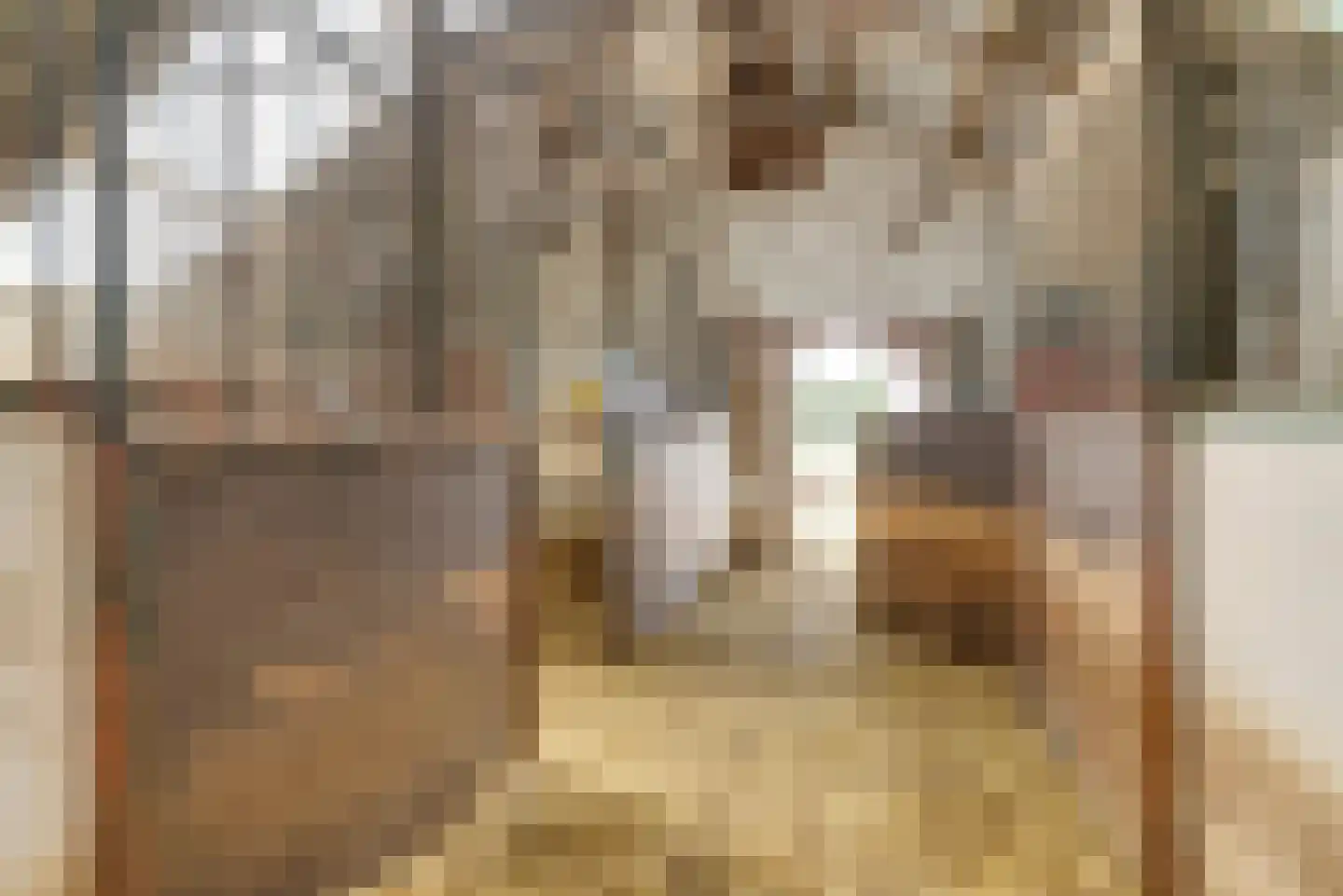Frieslandweg 2 Didam thumbnail 31