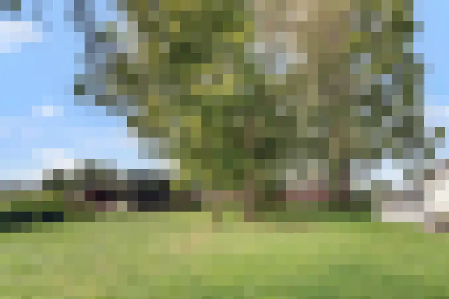 Frieslandweg 2 Didam thumbnail 32