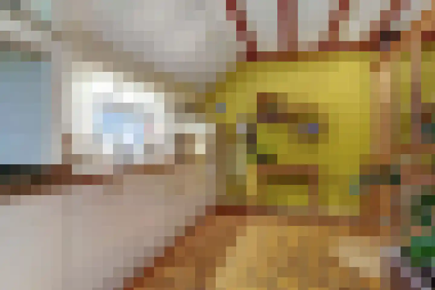 Frieslandweg 2 Didam thumbnail 6