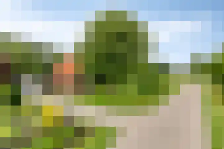 Frijstêd 12 in Damwâld
