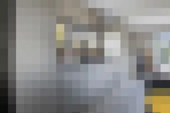 Frisia 24 Franeker thumbnail 18