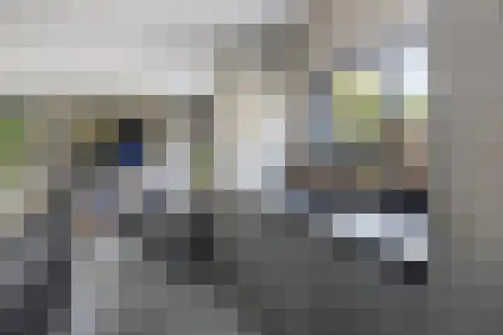 Frisia 24 Franeker thumbnail 19