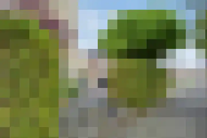 Frisia 24 Franeker thumbnail 64