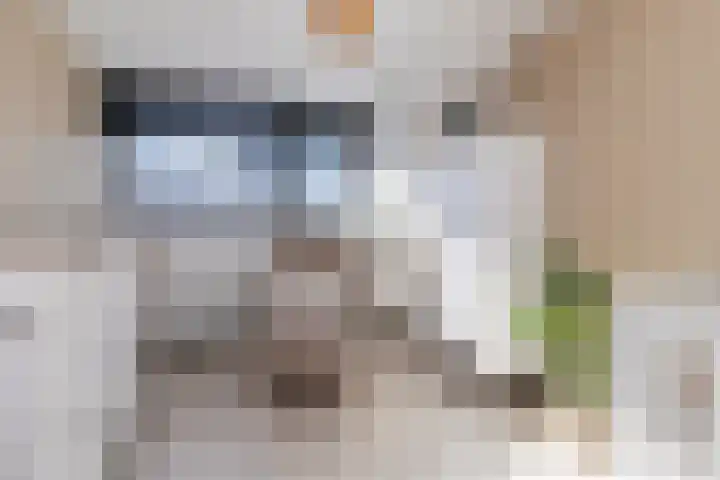 Frisolaan 29 Poeldijk thumbnail 21