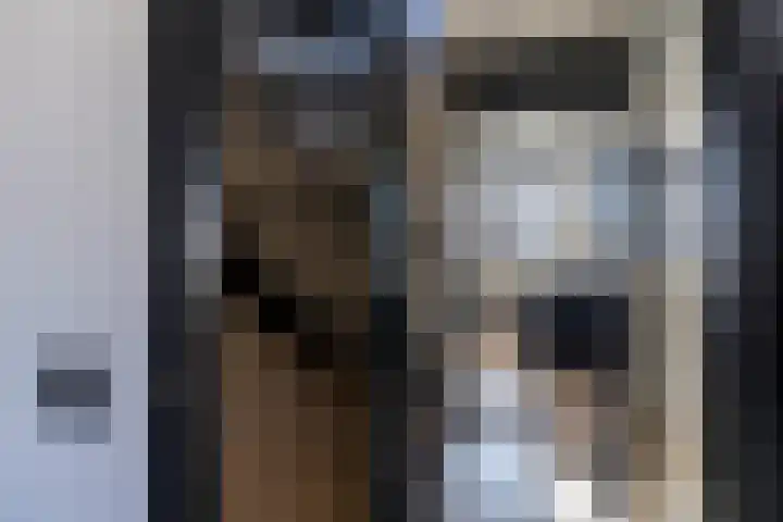 Frisolaan 29 Poeldijk thumbnail 25