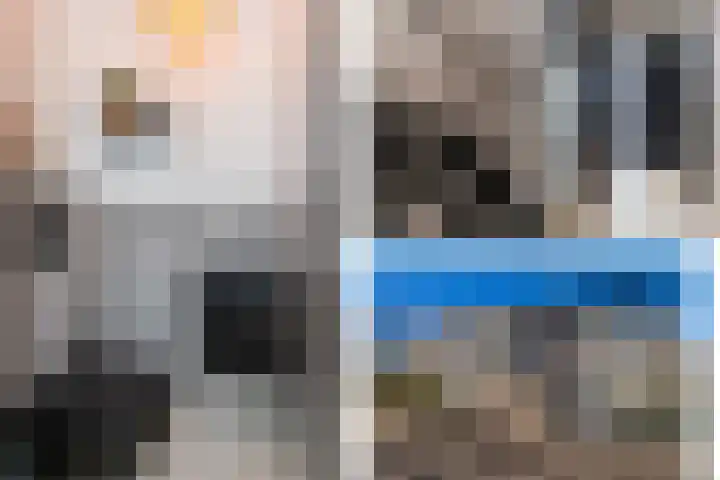 Frisolaan 29 Poeldijk thumbnail 29