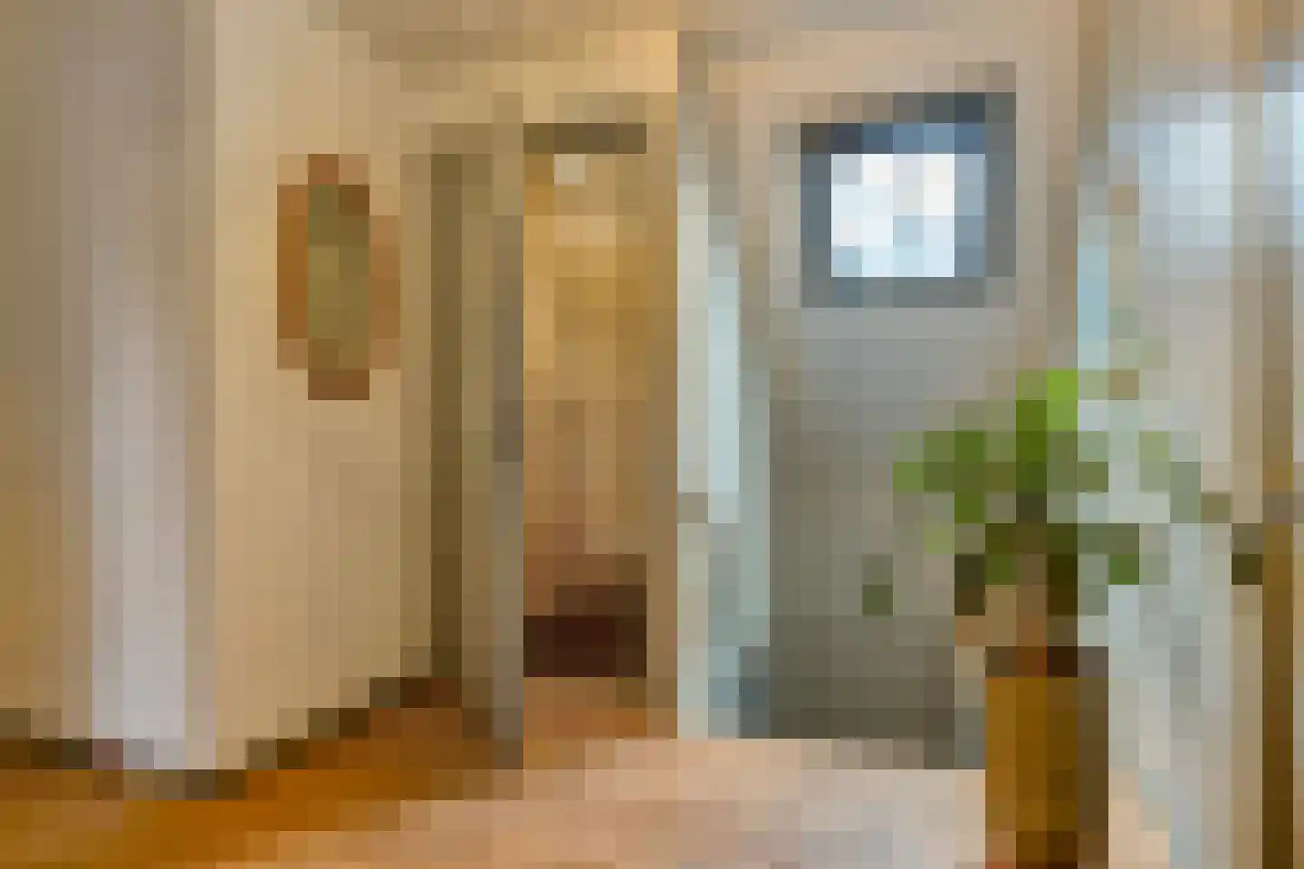 Frisostraat 13 Schore thumbnail 20
