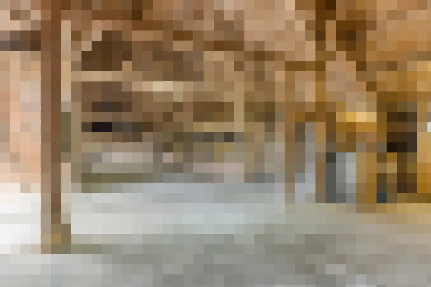 Frisostraat 13 Schore thumbnail 45