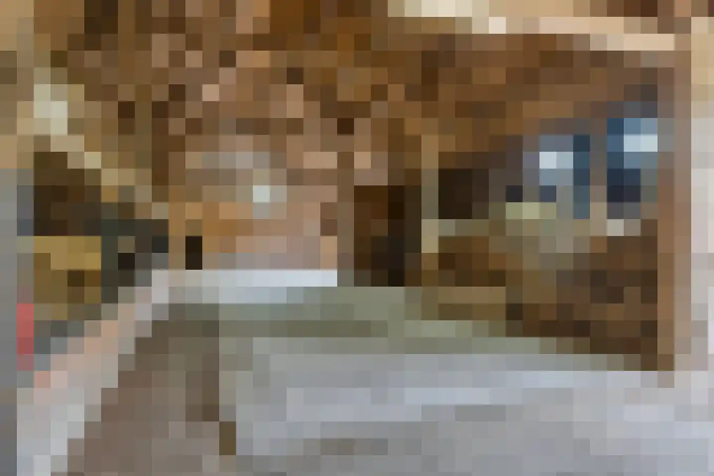 Frisostraat 13 Schore thumbnail 46