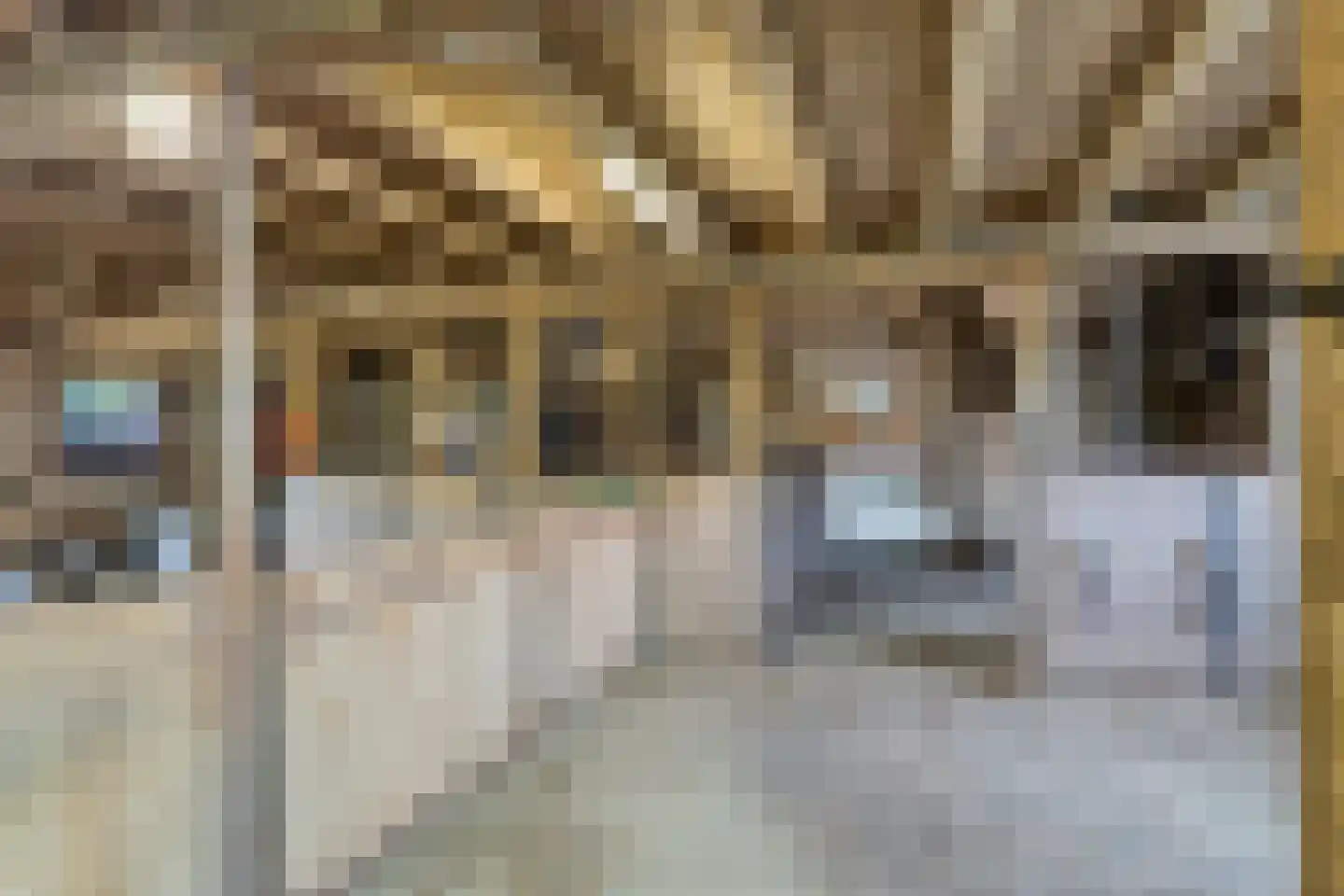 Frisostraat 13 Schore thumbnail 48