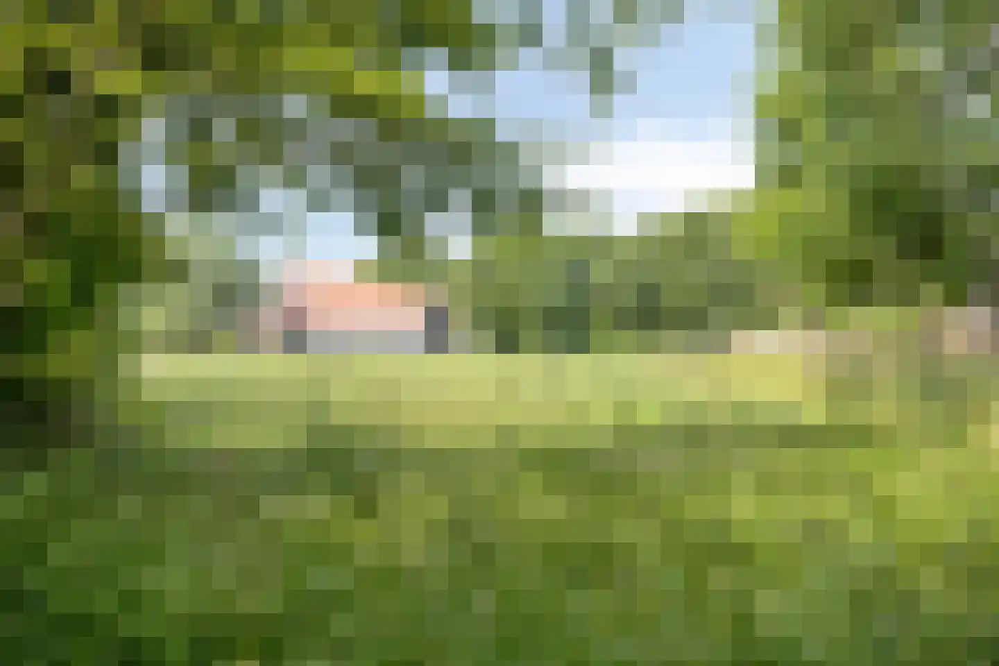 Frisostraat 13 Schore thumbnail 62