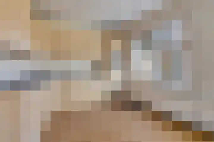 Frisostraat 3 Hulst thumbnail 11