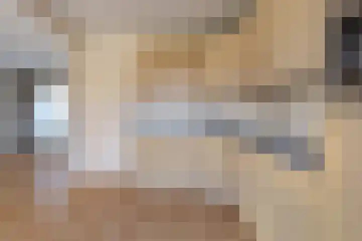 Frisostraat 3 Hulst thumbnail 13