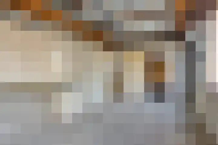Frisostraat 3 Hulst thumbnail 25