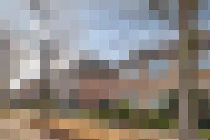 Frisostraat 3 Hulst thumbnail 30