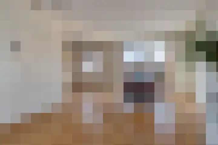 Frisostraat 3 Hulst thumbnail 8