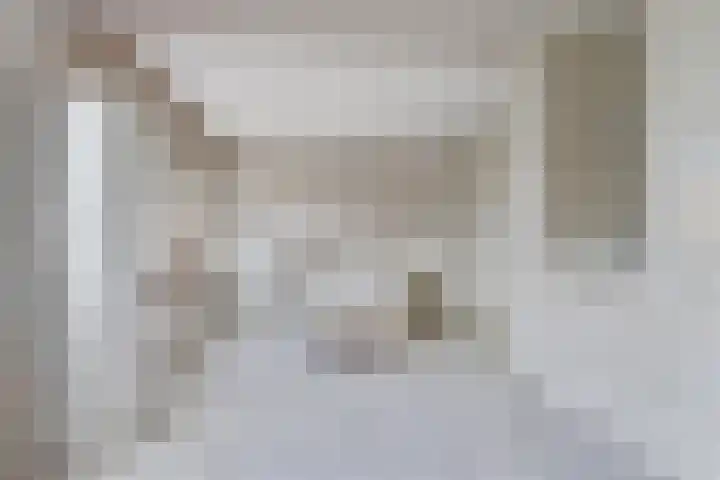 Frisostraat 9 Schore thumbnail 20