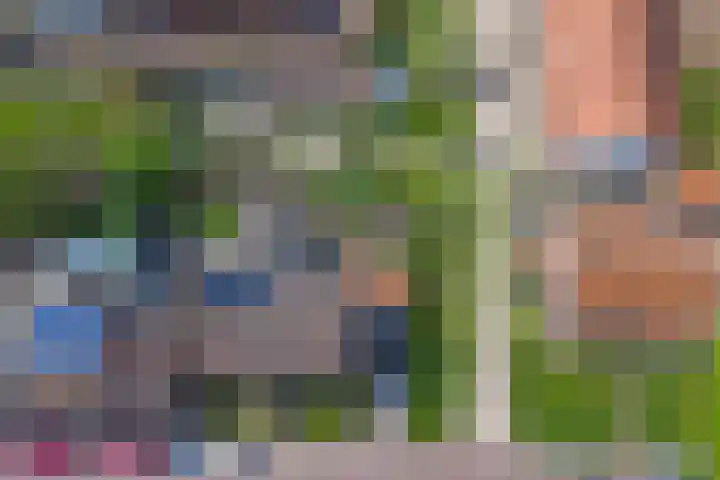 Frisostraat 9 Schore thumbnail 36