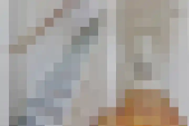 Frisostraat 9 Schore thumbnail 5